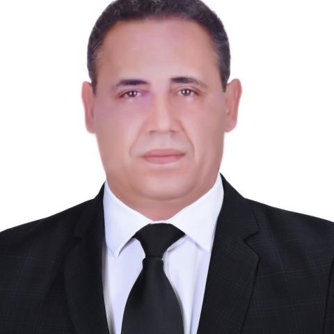 د علي الشبي